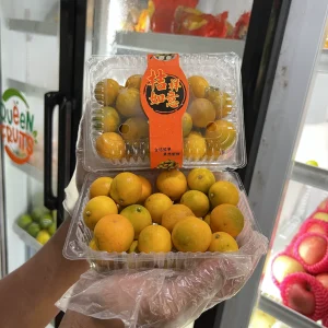 Jeruk Kimkit