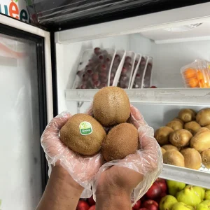 Kiwi Green