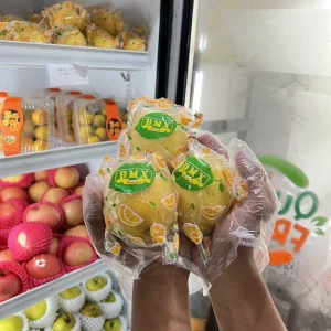 Lemon China Import
