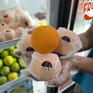 Navel Califresh
