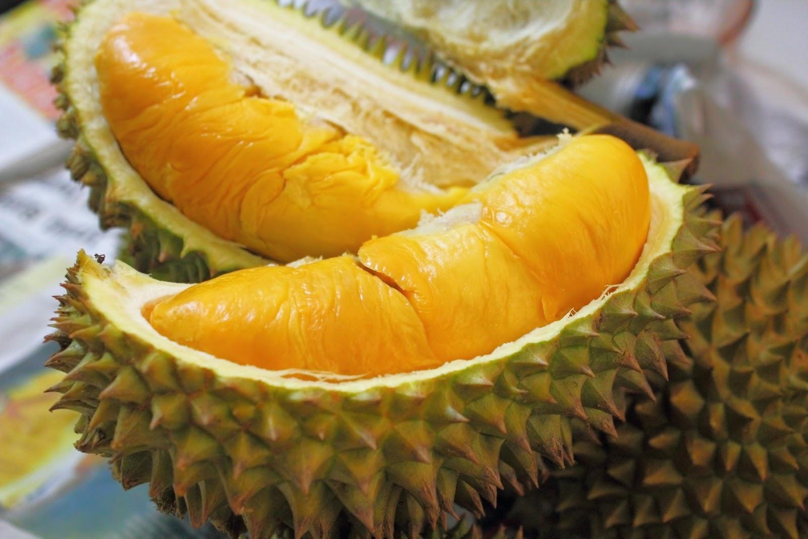 Durian: Raja Buah yang Viral dengan Segudang Keunikan dan Pesona